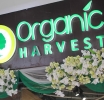 Organic Harvest Launches Makeup Range with Certified Organic Ingredients